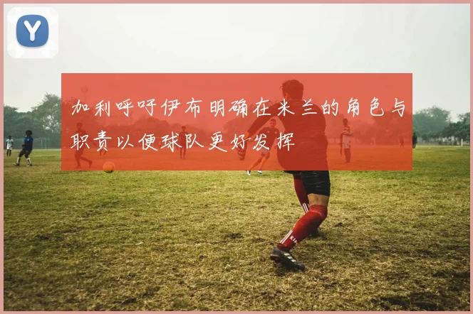 加利呼吁伊布明确在米兰的角色与职责以便球队更好发挥