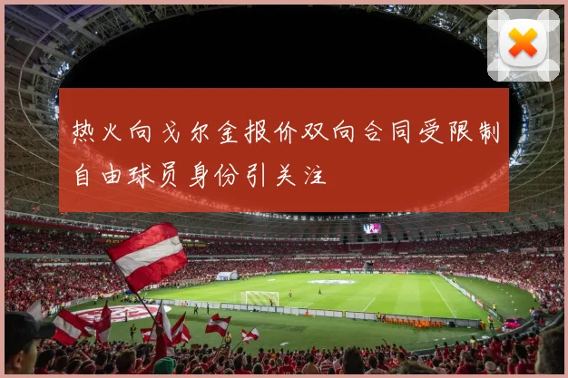 热火向戈尔金报价双向合同受限制自由球员身份引关注