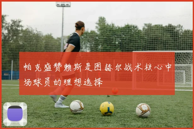 帕克盛赞赖斯是图赫尔战术核心中场球员的理想选择
