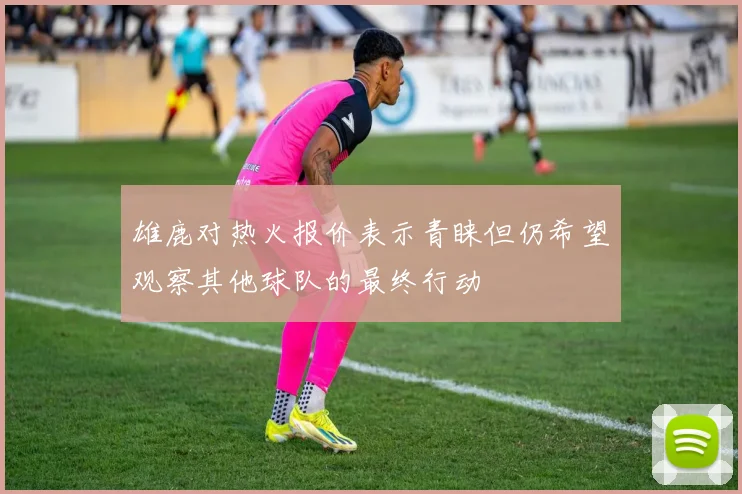 雄鹿对热火报价表示青睐但仍希望观察其他球队的最终行动